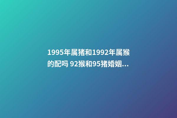 1995年属猪和1992年属猴的配吗 92猴和95猪婚姻好不好 95猪92猴婚配的婚姻如何，95的猪与92的猴婚配如何？-第1张-观点-玄机派